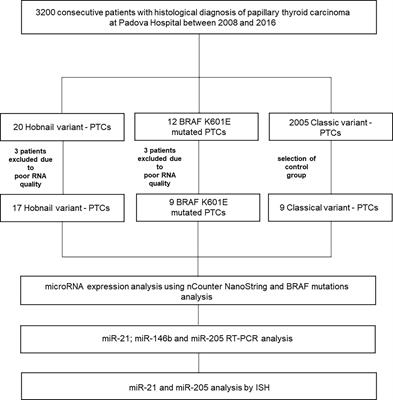 Papillary Thyroid Carcinoma: Molecular Distinction by MicroRNA Profiling